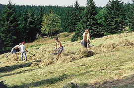 Ökocamp im Zechengrund bei Oberwiesenthal